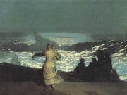 Winslow Homer A Summer Night (san39) oil painting